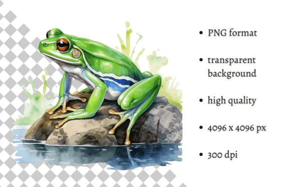 Download Watercolor Frog Illustration - Premium Resources