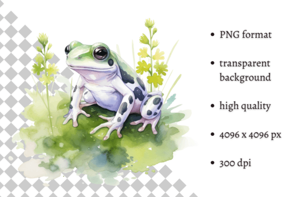 Download Watercolor Frog Illustration - Premium Resources