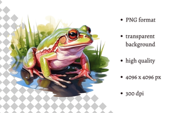 Download Watercolor Frog Illustration - Premium Bundle